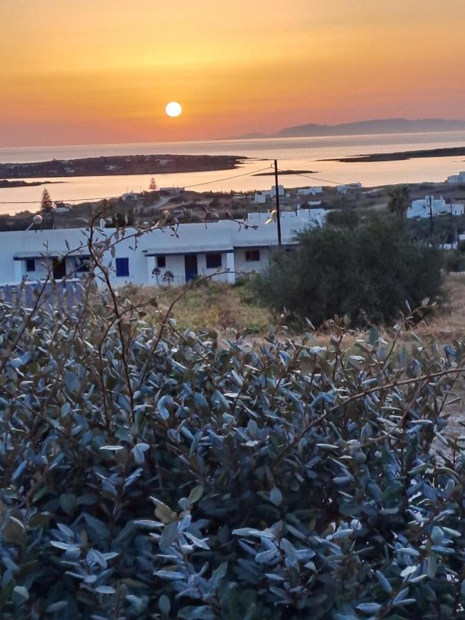 Traditional House Paros Sarakíniko エクステリア 写真