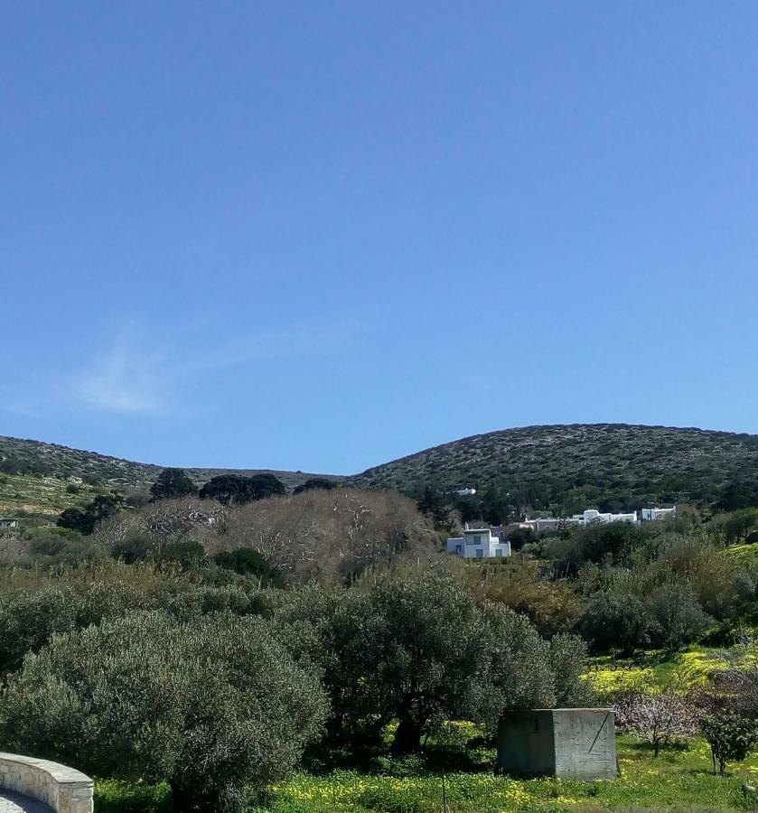 Traditional House Paros Sarakíniko エクステリア 写真